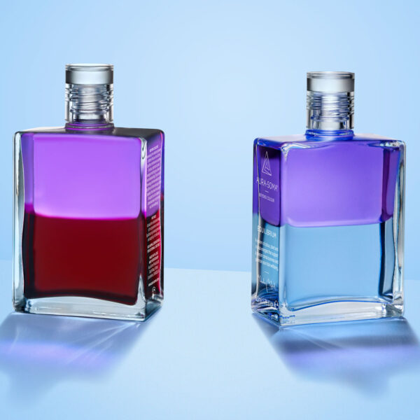 Level 1 Foundation Course